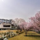 마이더스호텔 이미지