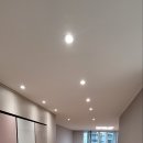 Pet 마을 이미지