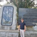 숲속 길가 대추농원 | 제주여행 -비자림과 동화마을 그리고 선상 일몰