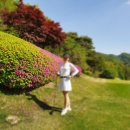 스카이밸리골프장 이미지