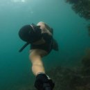 유동민박 이미지