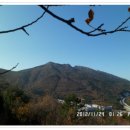 선자