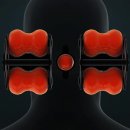 세라메디칼의료기기 이미지