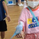 새아리농장 이미지