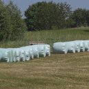 원평가축농장 이미지