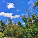 은행1동제2공영주차장 이미지