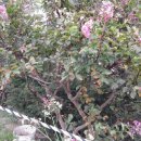 해달별펜션 이미지