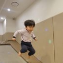 토리엔모리 이미지