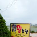 까투리(꿩)농장 이미지