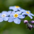 포천 소소 이미지