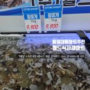 이편한 할인마트 | 아산 탕정 대형마트 추천 월드식자재마트 오픈이벤트 할인정보 꽃게 1kg 9800원