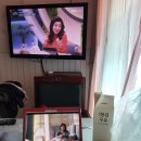 강촌오렌지팬션