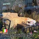 민하약국 | 이탈리아 피렌체 가볼만한 곳 산타마리아노벨라 매장 기념품