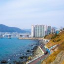 카페 시도 이미지