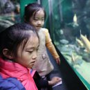 연한가지공동체 이미지