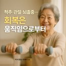 라파엘브릿지 이미지