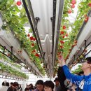 경남은광학교 이미지