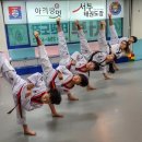 연세토성태권도 이미지