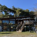 커피크레마 | 강릉 강릉커피맛집 강릉블루리본맛집 일본말차푸딩맛집 로스팅커피 크레마코스타본점 솔직후기