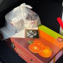 장항복아구전문 | Happy new year