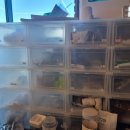 멍멍아학교가자 (대곡점) 이미지