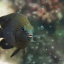 관리농장 이미지