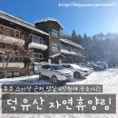 무주 국립 덕유산자연휴양림 휴양관 예약 초롱꽃 숙박
