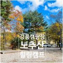 강릉 노추산 힐링캠프 | 강원도 강릉 캠핑장 노추산힐링캠프 1박 후기