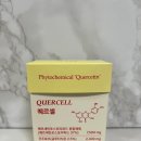 에스 | 퀘르세틴 변화 후기: 피로·피부·노화까지 개선된 오로라에스 후기