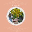 미정이네꽃집 이미지