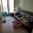 필동물종합병원 이미지