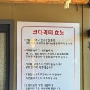 윤남희 맛집코다리 이미지