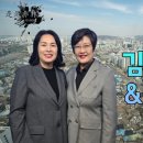 시시비비 이미지