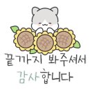 강릉하파펜션 이미지