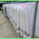 신도세탁 이미지