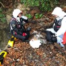 고스트스피드 이미지