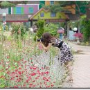 허브캐슬 이미지