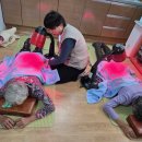 행복건강드림 일간투데이