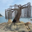 조각공원 주차장 이미지