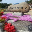 대합초등학교 이미지