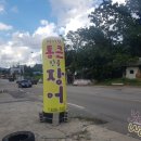 미시령통큰민물장어 이미지