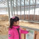 승의농장 이미지