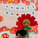 털로덮인친구들 수원시청역점 이미지