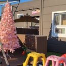 카페채채 이미지