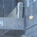 큰재봉길 | 🏥🍱 동탄성심병원 근처 점심특선 맛집 초밥,할뿐 솔직후기