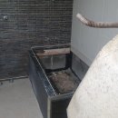 탄벌동 50 이미지