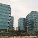 팔레드시즈 이미지