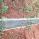 옥과 수리 이미지