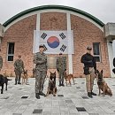 육군 군견훈련소 이미지