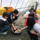 황토사랑 이미지